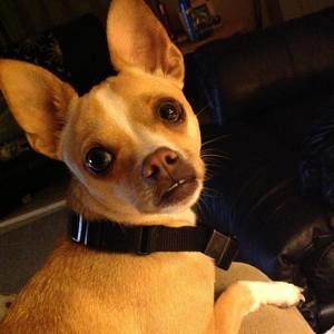 Meet your Posher, Nancy